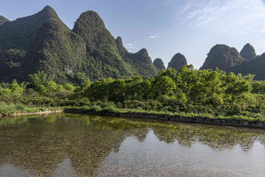 China - Yangshuo 25 - arrozales.jpg